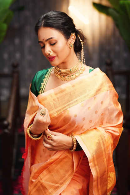 Pure Handloom Aboli Paithani Saree with Traditional Silk Border