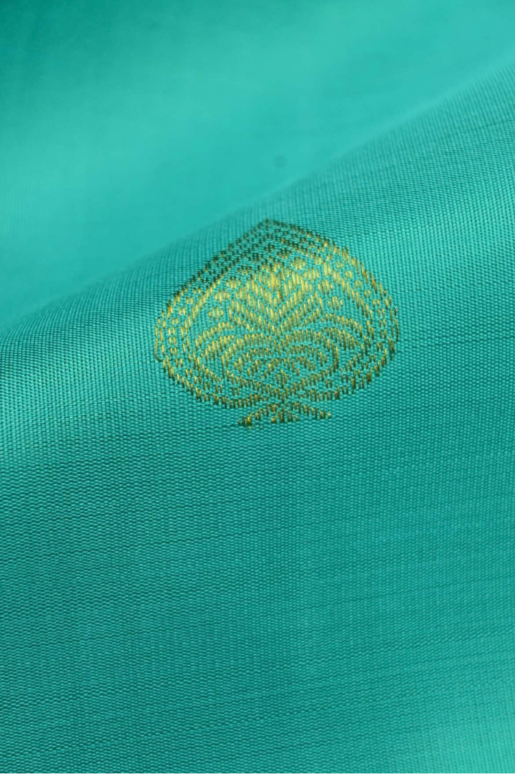 Pure Nalli Silk Saree